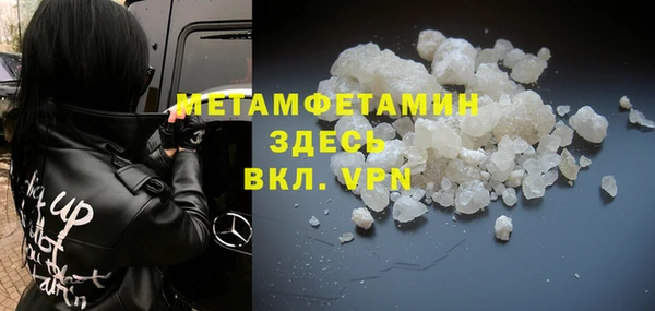 прущие грибы Лабытнанги