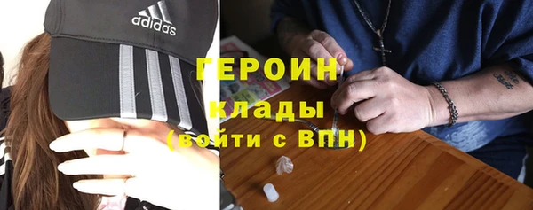 прущие грибы Лабытнанги