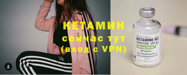 прущие грибы Лабытнанги