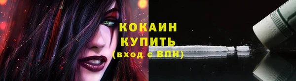 прущие грибы Лабытнанги
