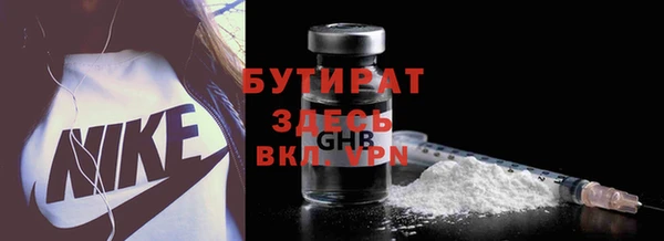 прущие грибы Лабытнанги