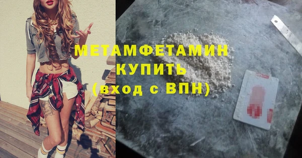прущие грибы Лабытнанги