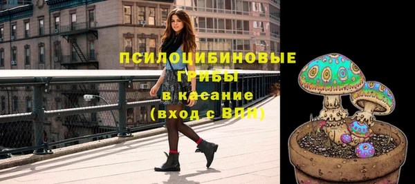 прущие грибы Лабытнанги