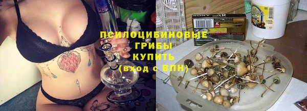 МДМА Лагань