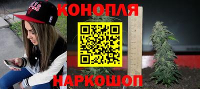 крисы Балаково