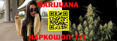 гидропоника Будённовск