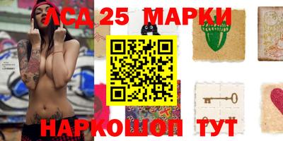 гидропоника Будённовск