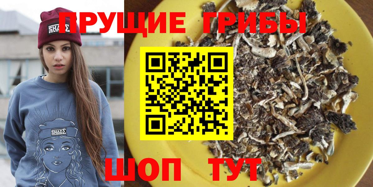 Псилоцибиновые грибы Psilocybine cubensis Екатеринбург