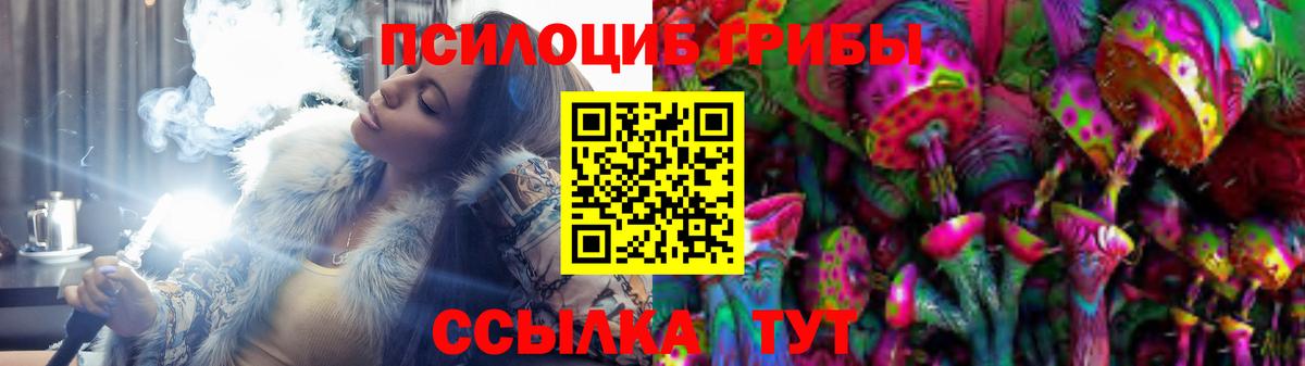 Псилоцибиновые грибы Cubensis  где купить наркотик  Екатеринбург  Галлюциногенные грибы Magic Shrooms 